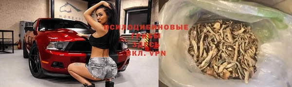 ГАЛЛЮЦИНОГЕННЫЕ ГРИБЫ Лабытнанги