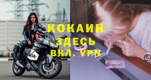 стаф Липки