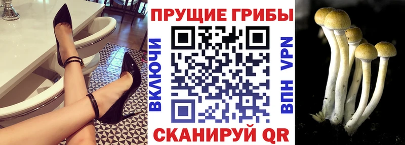 Купить закладки  Анапа  Галлюциногенные грибы мицелий 